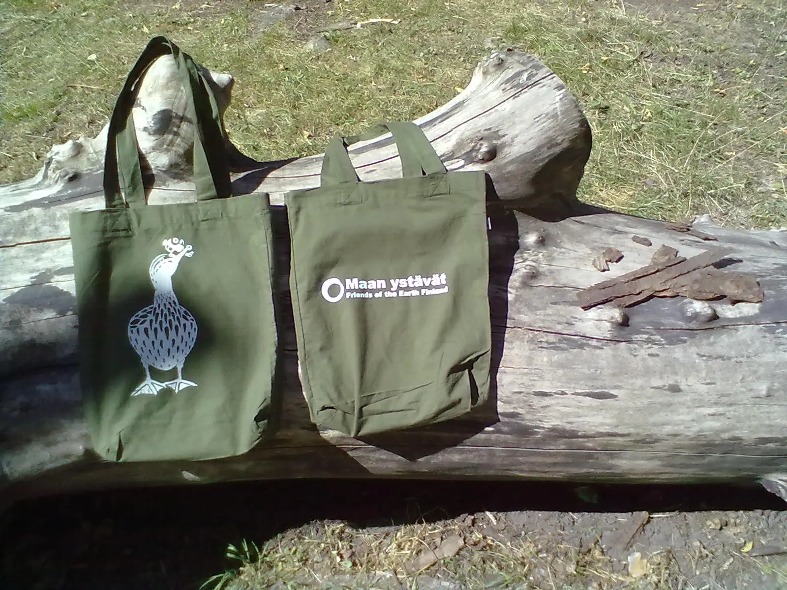 autonsyöjäsorsa-kangaskassi