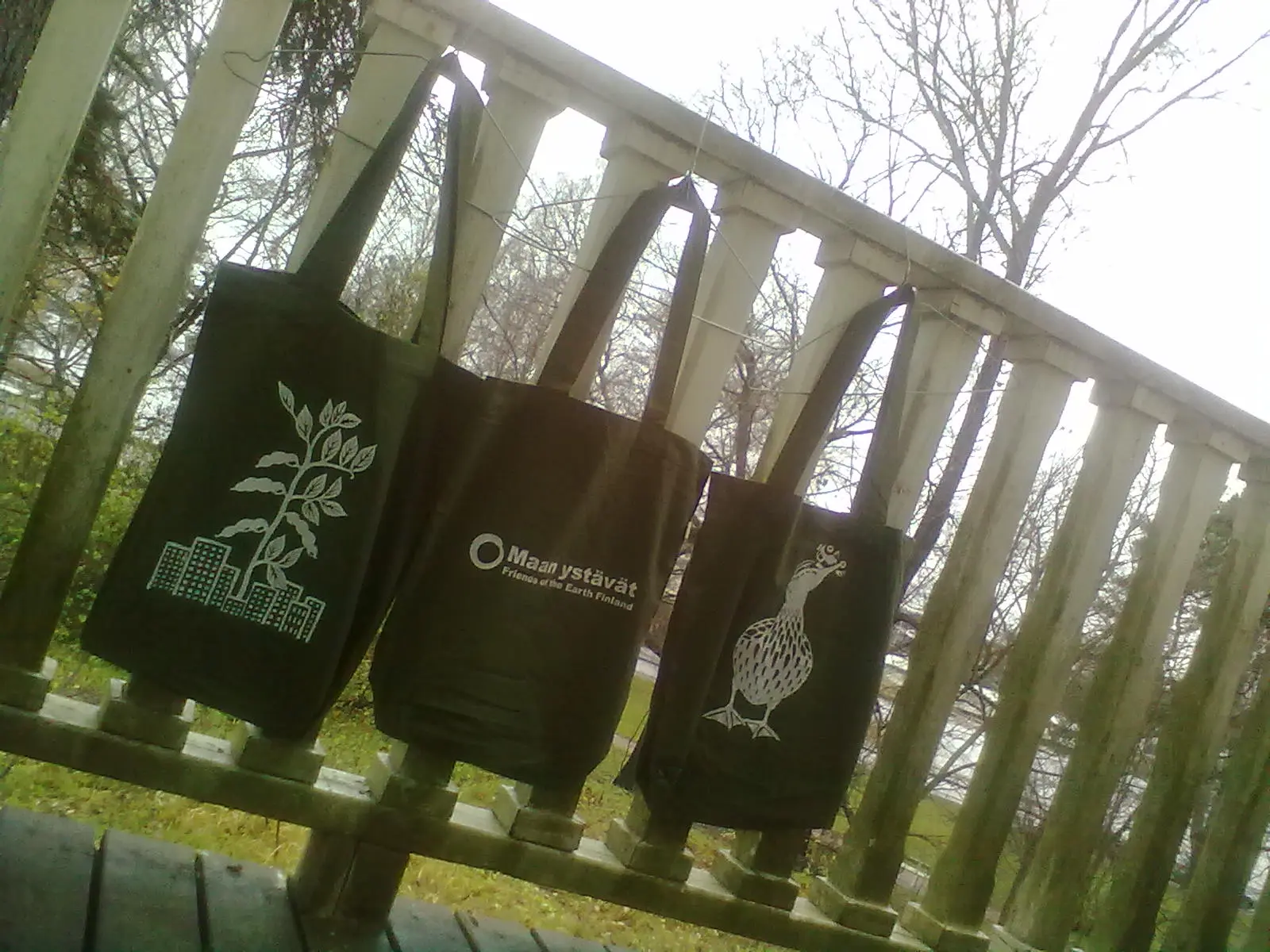 härkäpapukaupunki & autonsyöjäsorsa