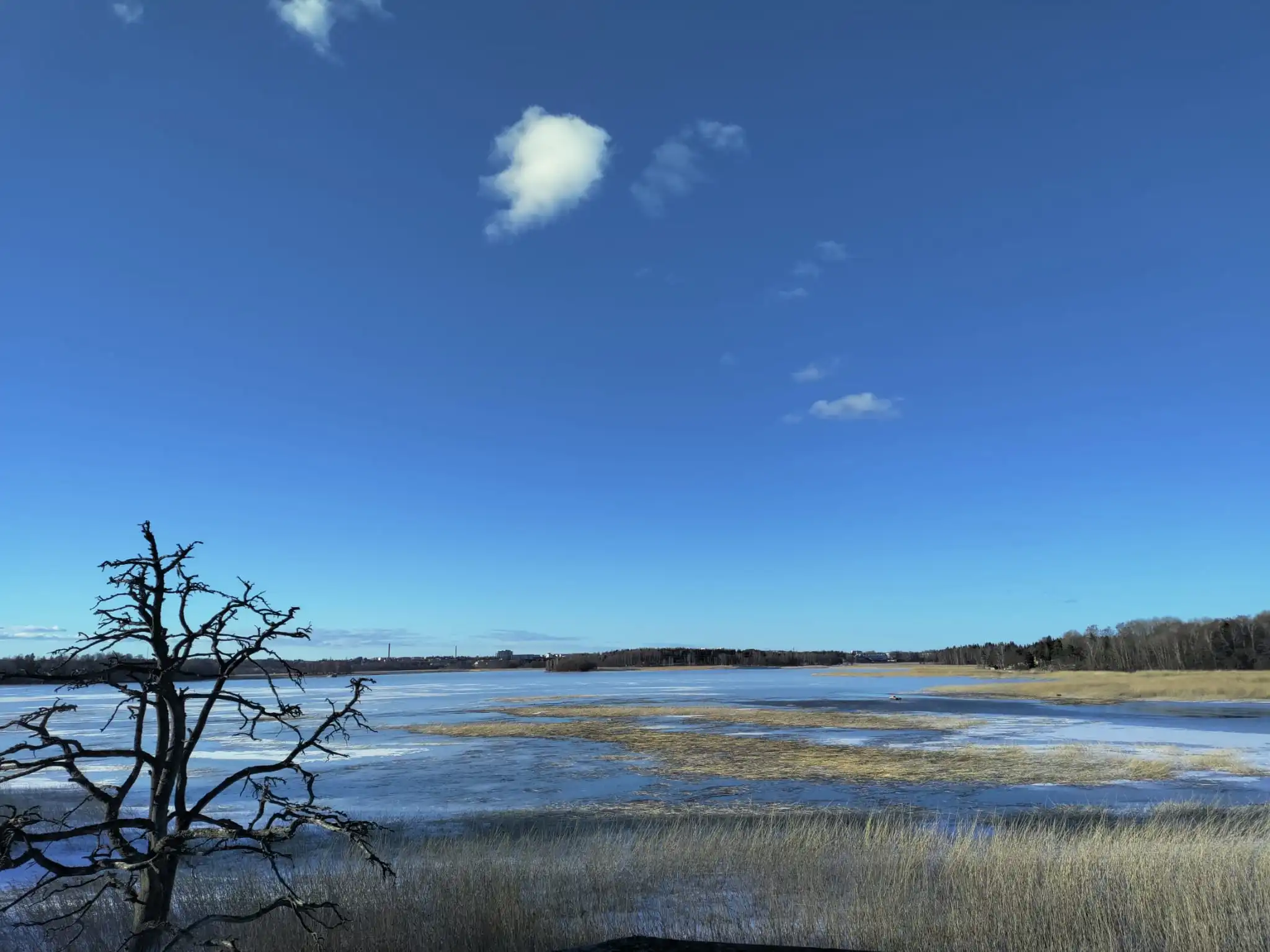 Säännöllinen tapaaminen ma 1.12. // Regular meeting Mon Dec 1