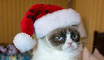 Maan ystävien pikkujoulut 2015