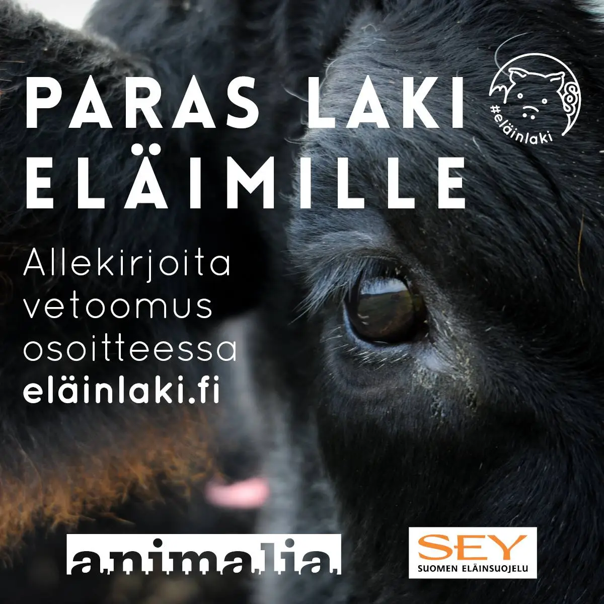 Suomeen saatava vahva eläinsuojelulaki – allekirjoita vetoomus