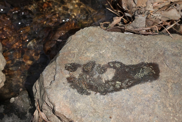 Kuva: Jessica Lucia, Flickr, CC by-nc-nd