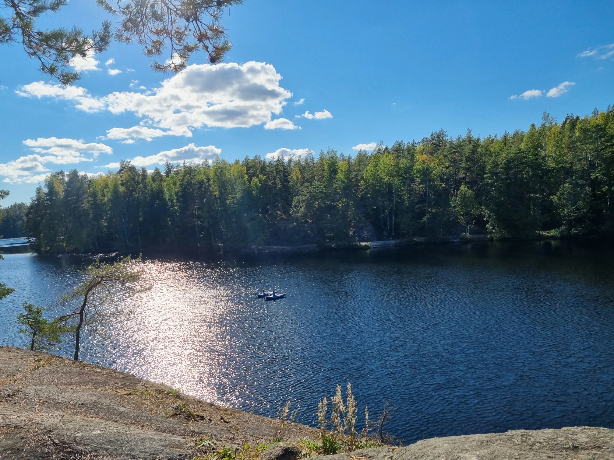 Maan ystävien hallitustyö koronaviruspandemian aikana ja sen jälkeen