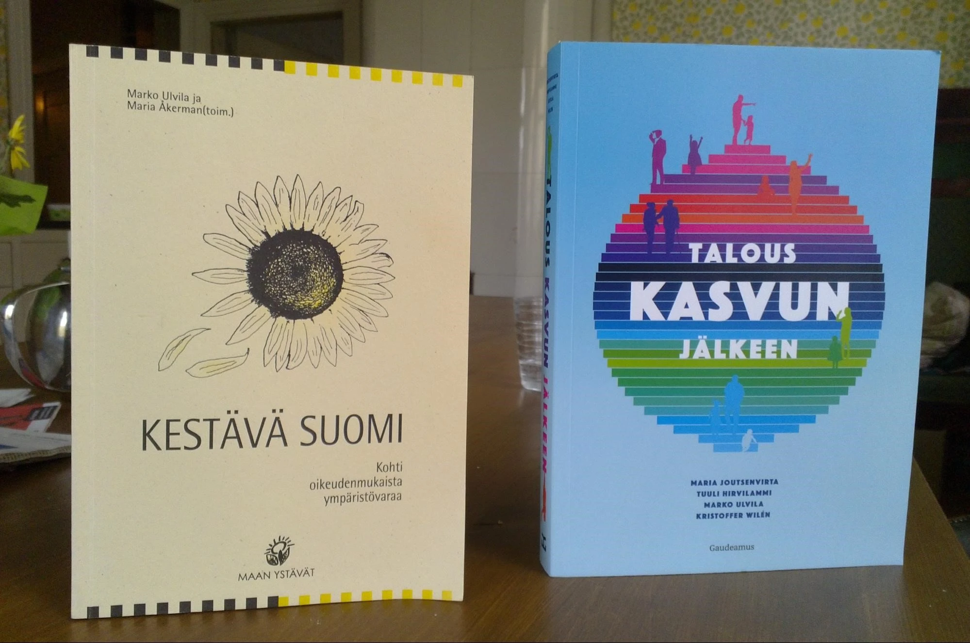 Kestävä Suomi: Kohti oikeudenmukaista ympäristövaraa 1996, Talous kasvun jälkeen 2016