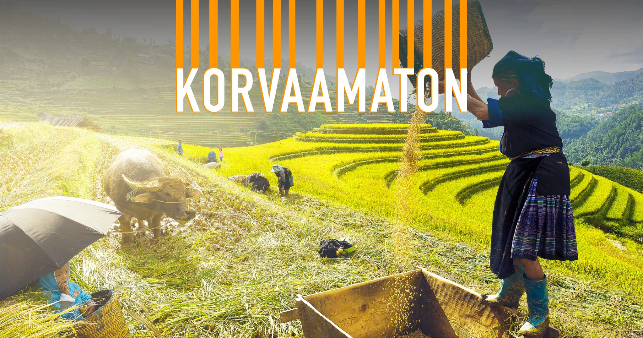 Yli 40 kansalaisjärjestöä ja ammattiliittoa: hallitusneuvotteluissa nostettava ilmastokysymykset päärooliin