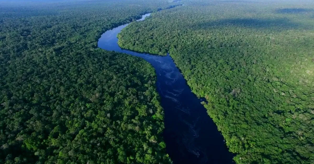 Kolumbia kieltää öljyn poraamisen omilla Amazonin alueillaan