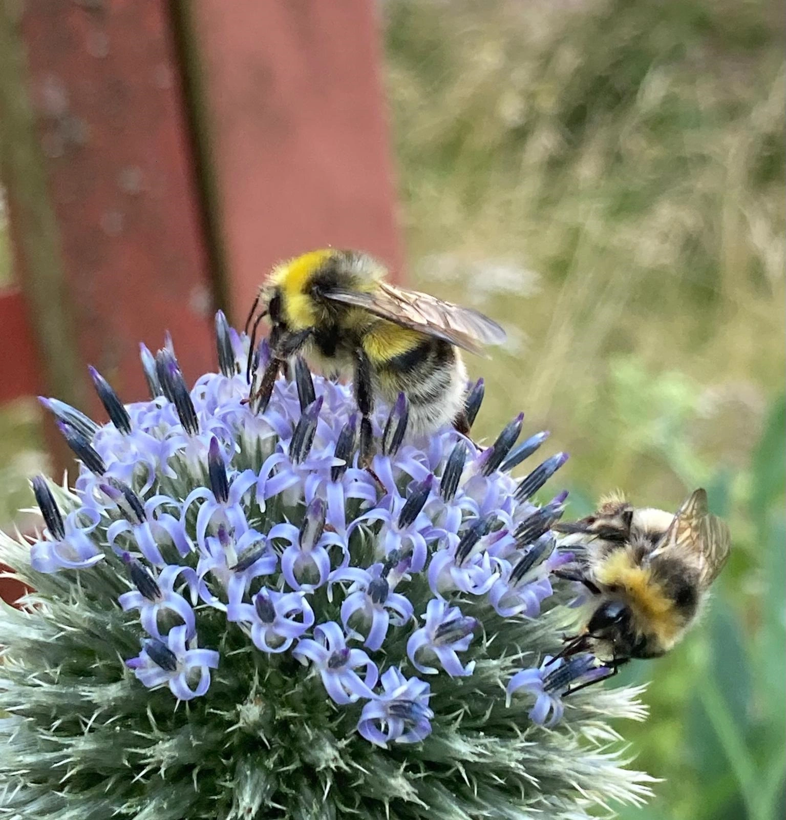 Mitä kannattaa säilyttää, kun kaikki kaatuu?
