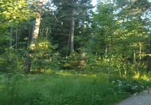 Retkeilijöille punkkitietoa!