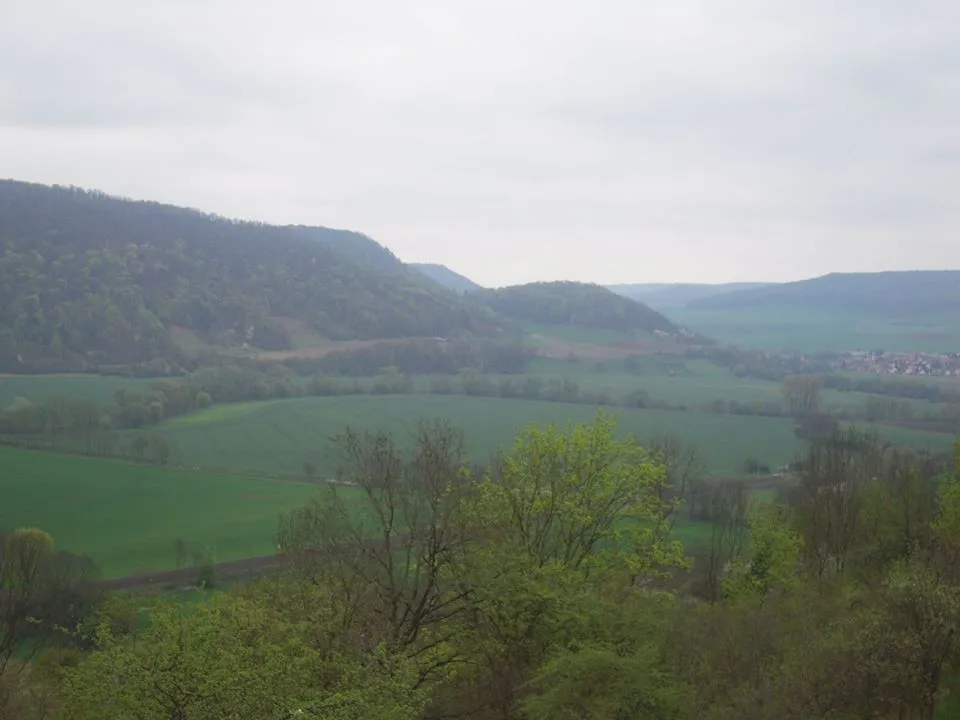 Movement -elokuvanäytös