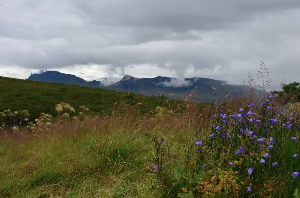 Vuosi Maan ystävänä