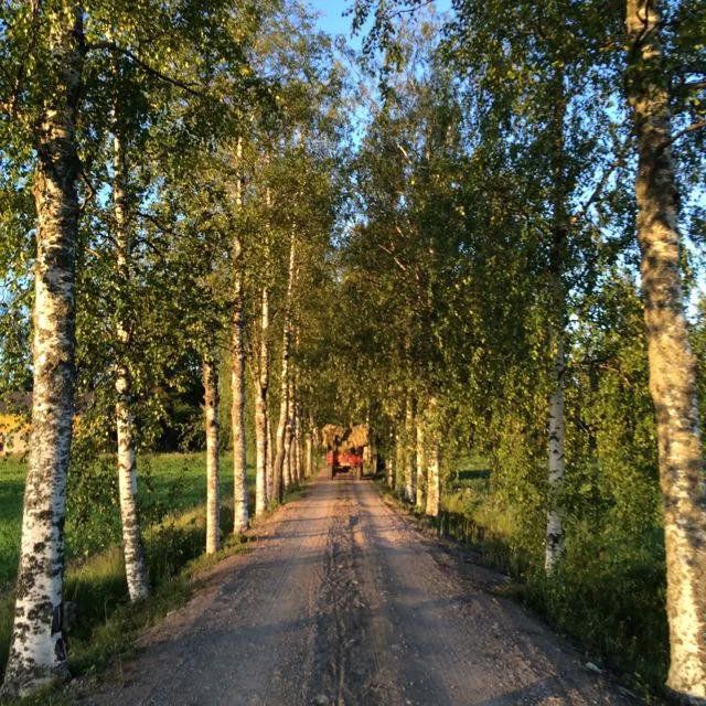 Talkooretki Tuusulaan su 14.9. // Farm work in Tuusula Sun Sep 14