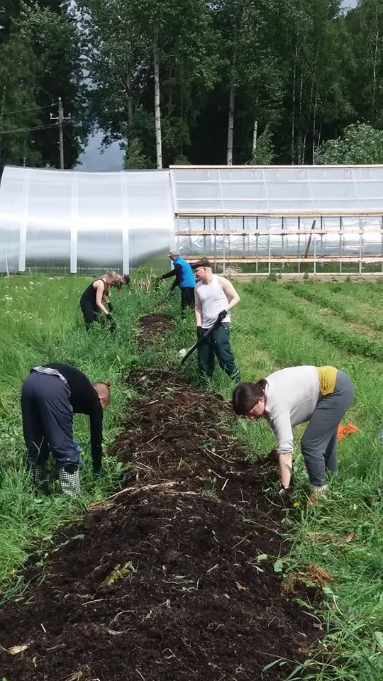 Myös viime vuonna rakennetusta kohopenkistä rikkaruohot saivat lähtöpassit.