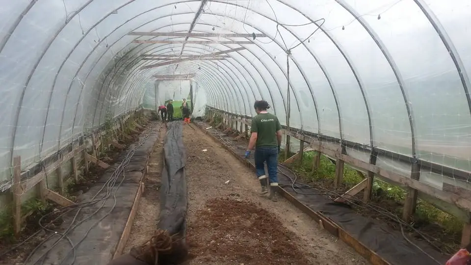 Kasvutunnelin keskimmäistä penkkiä vielä rakennetaan, jonka jälkeen koitti istuttaminen!