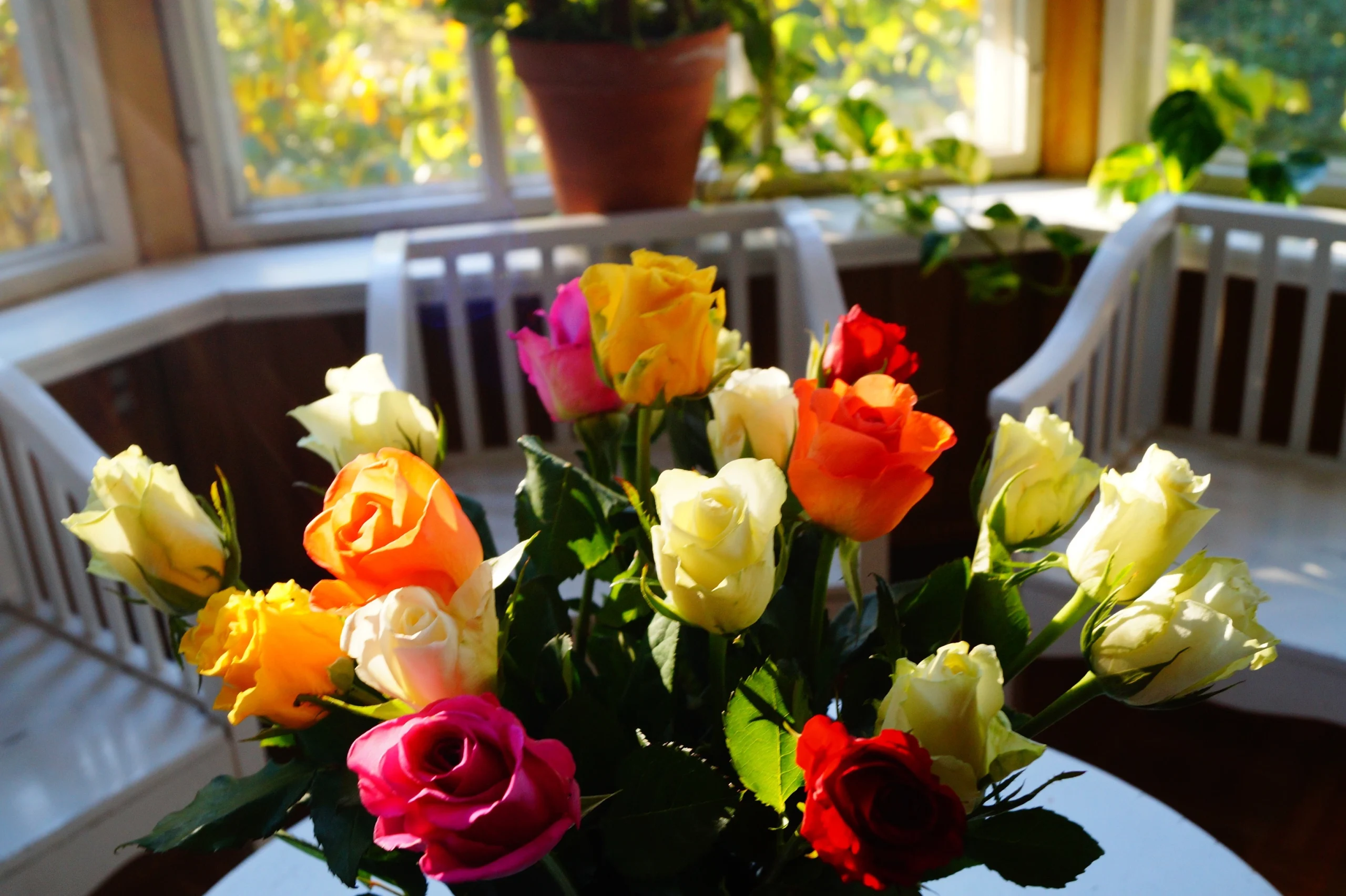 Vuoden viimeinen hallituksen kokous; kiitos ja onnea tulevaan!