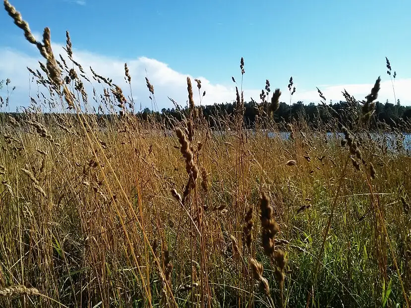 Helteen jälkeen syksy on luksusta – hallituksen kokous kesätauon jälkeen